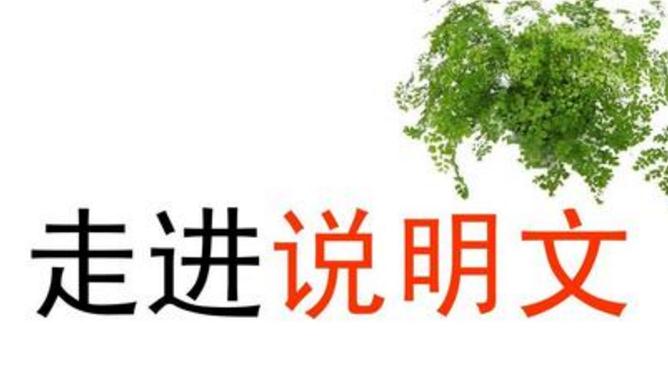 2022说明文阅读知识点_说明文阅读答题技巧归纳